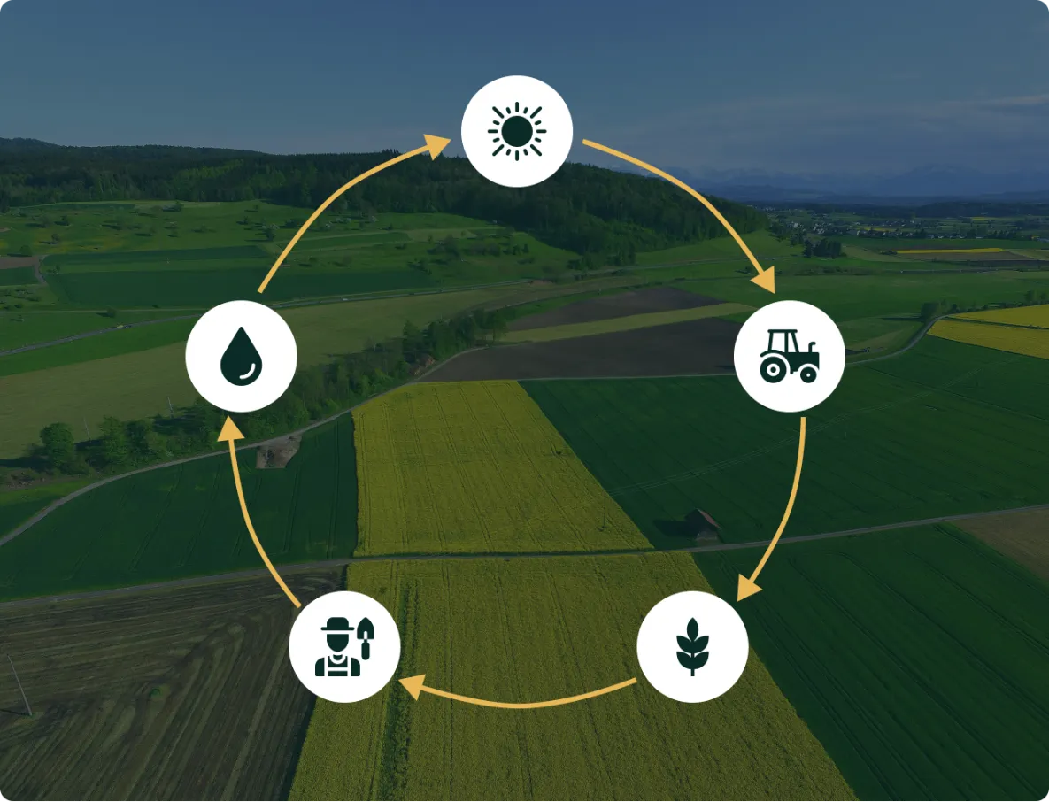 We Design Integrated Ecosystems.