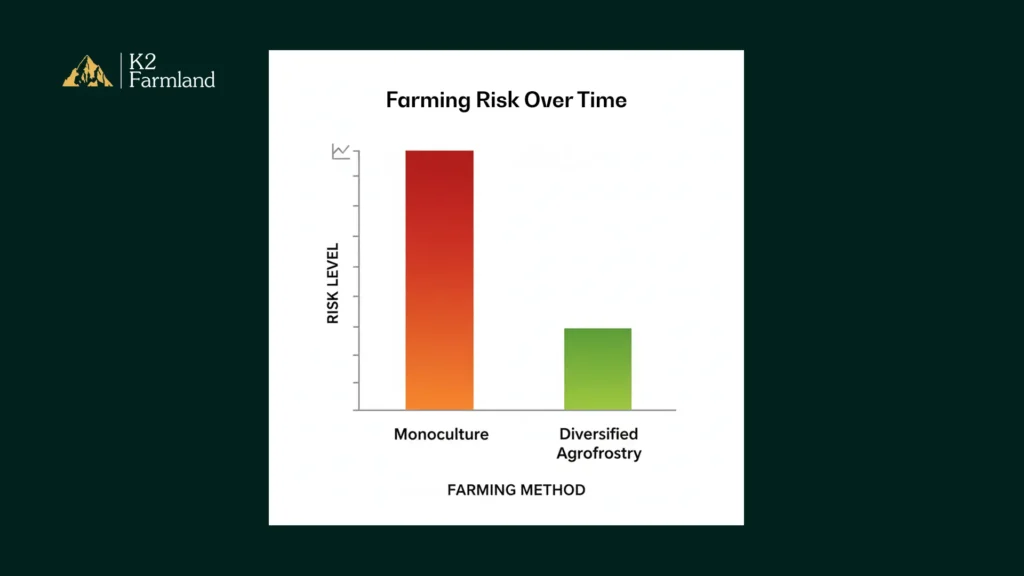 Simple bar chart showing higher risk in monoculture and lower risk in diversified agroforestry.