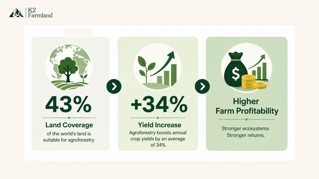 A three-part infographic showing agroforestry covering 43% of agricultural land and increasing crop yields by 34%, while improving farm profitability.